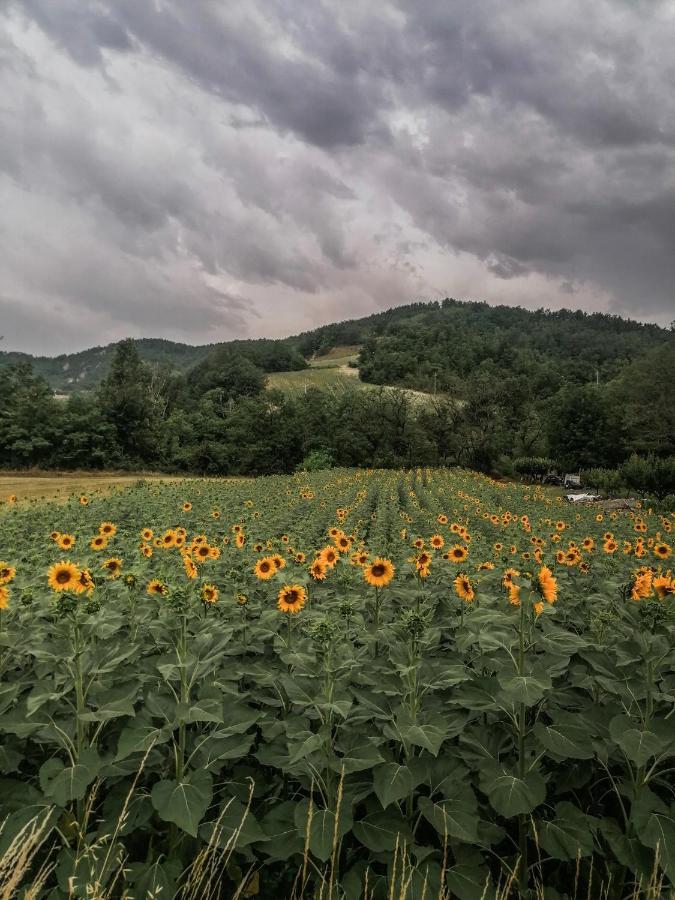산세바스티아노쿠로네 Nickland 빌라 외부 사진